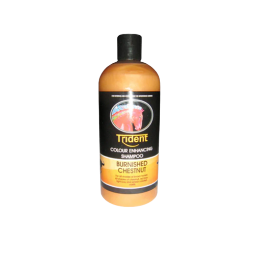 Shampoo Trident Chestnut 500ML