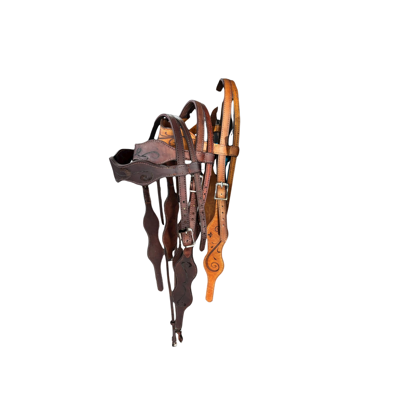 Western Bridle