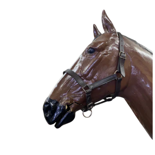 Leather Halter