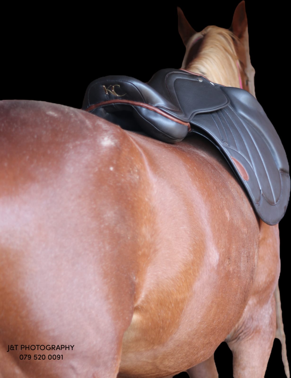 KC Apex Jumping Saddle