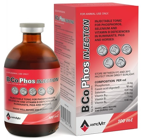 B-CO PHOS INJ 500ML