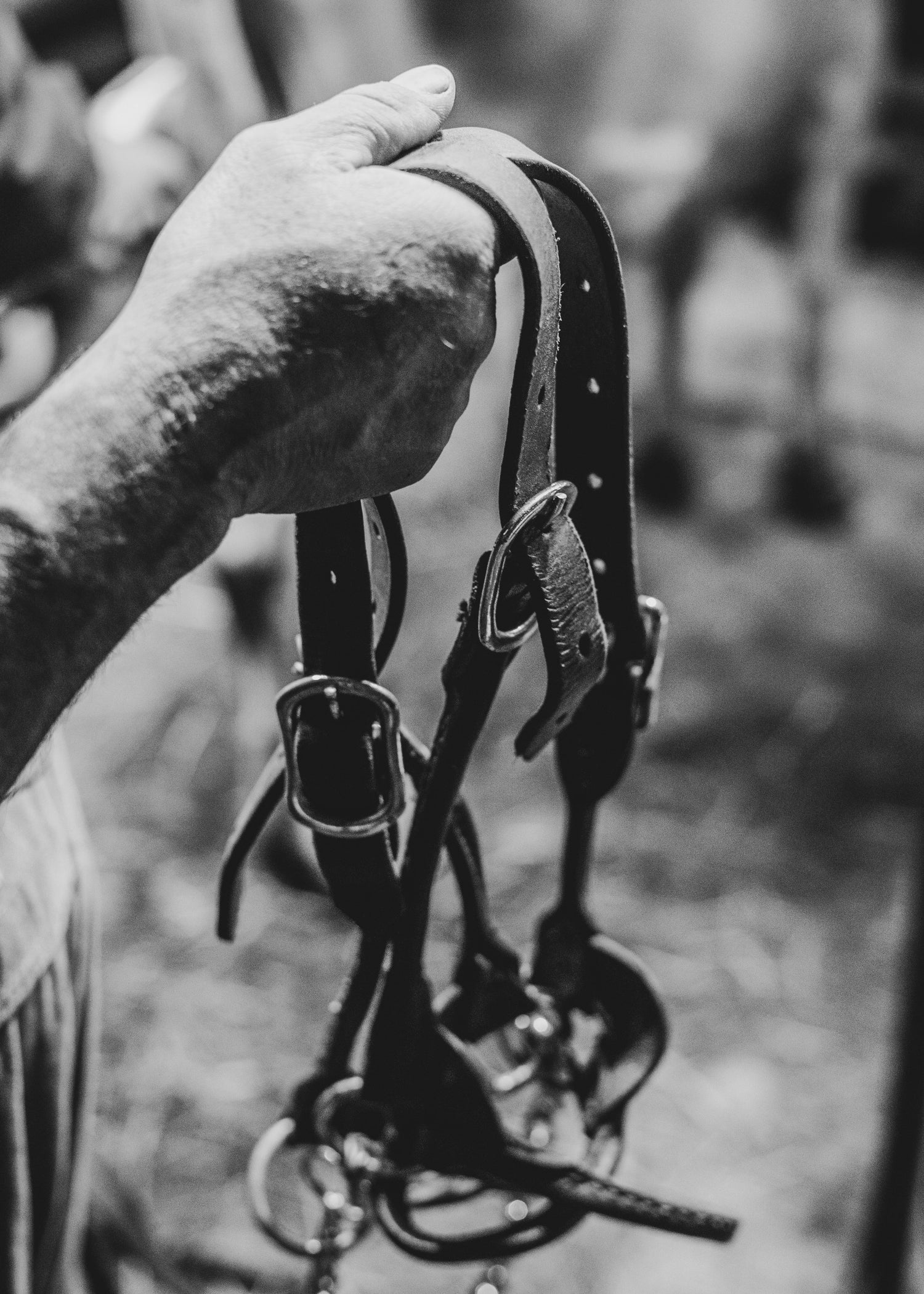 Bridles & Reins