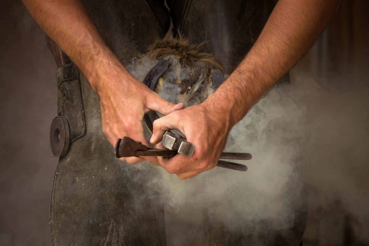 Farrier