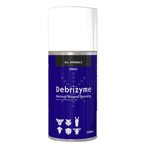 DEBRIZYME AEROSOL 150ML
