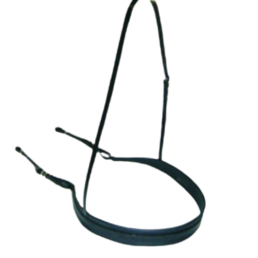 BREAST PLATE EXERCISE