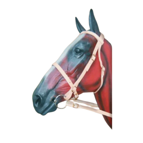 Leather Farm Bridle - No Bit