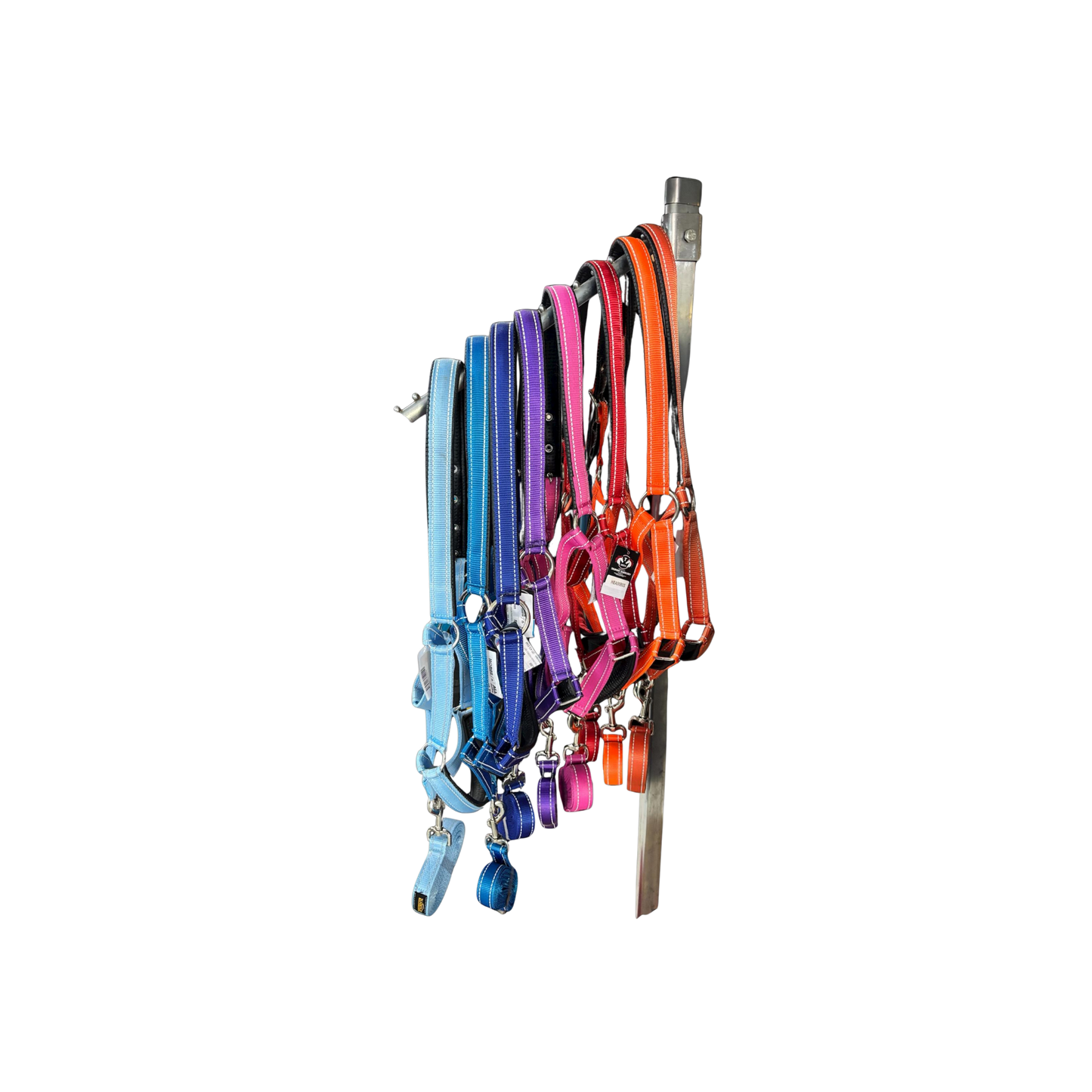 Halter + Lead - Orion