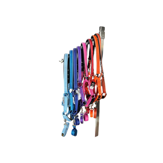 Halter + Lead - Orion