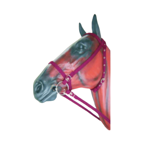 Web Bridle