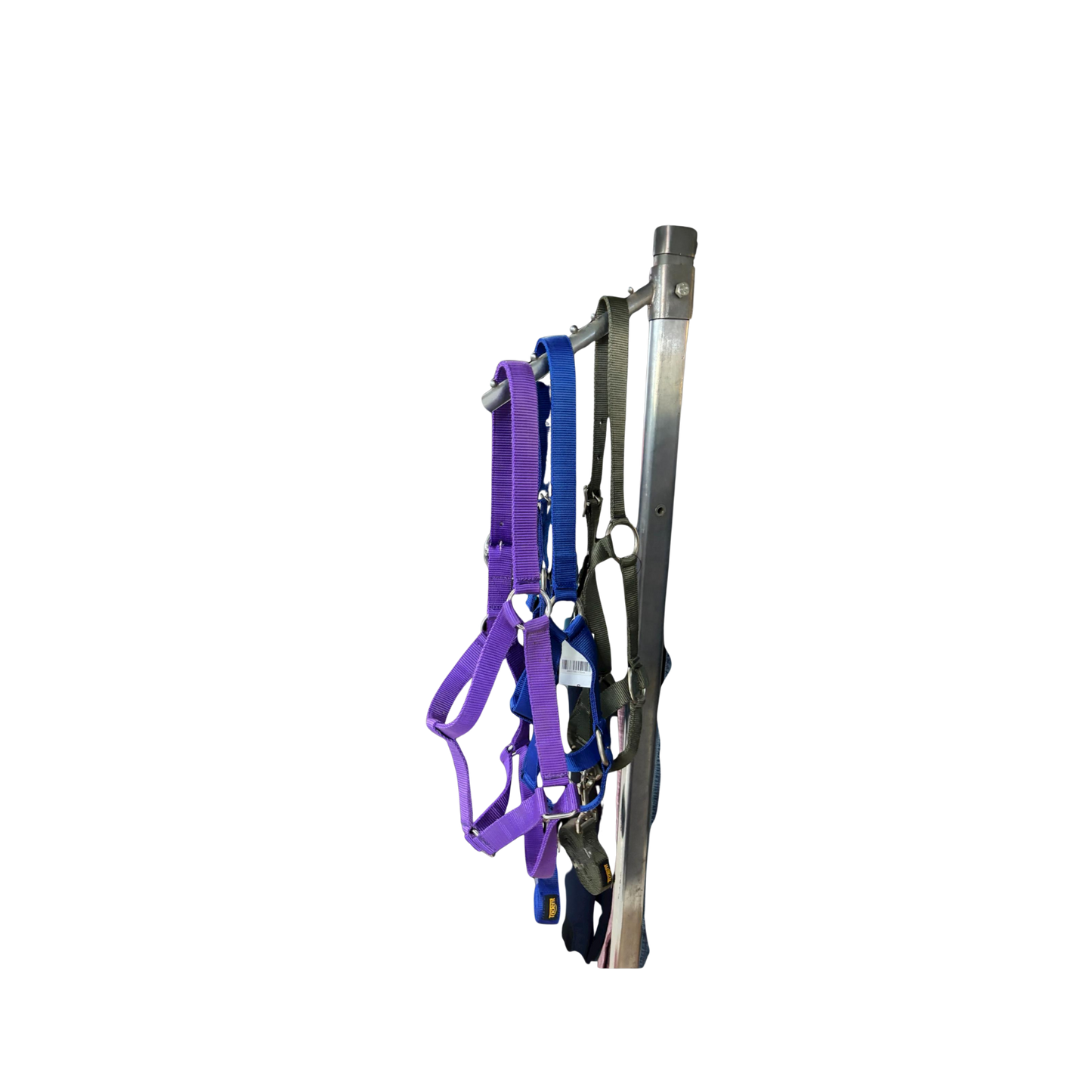 Halter + Lead - Wide Nylon