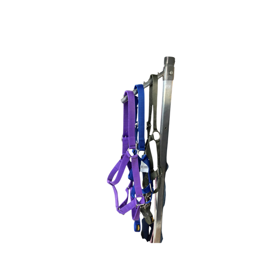 Halter + Lead - Wide Nylon