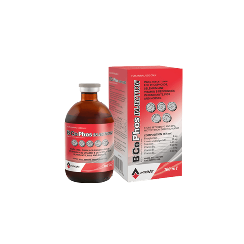 B-CO PHOS INJ 100ML