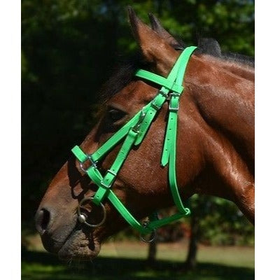 Biothane Bridle + Plate