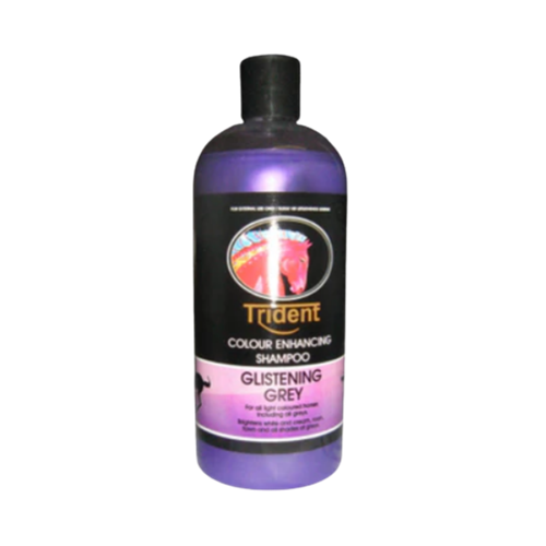 Shampoo Trident Glistening Grey 500ml