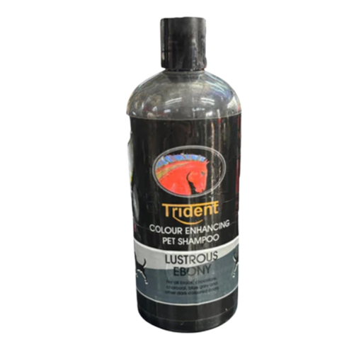 Shampoo Trident Lustrous Ebony 500ml