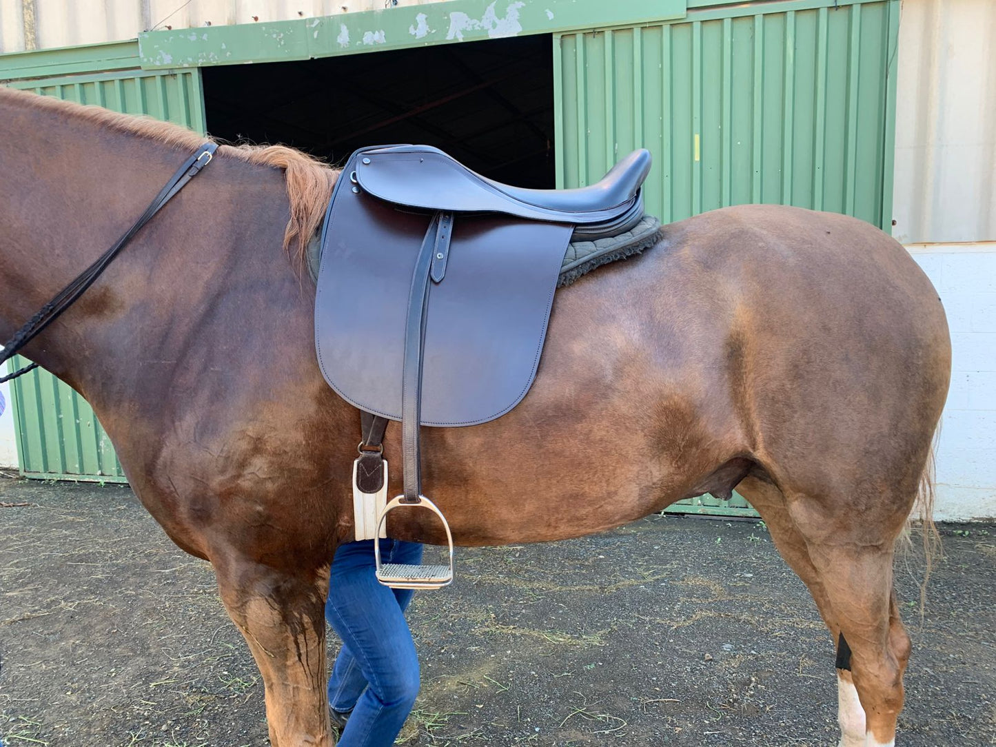 KC Marlborough Cutback Saddle